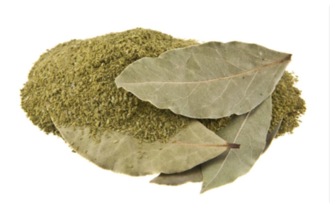 Bay leaves with berries