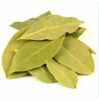 Fresh bay leaves