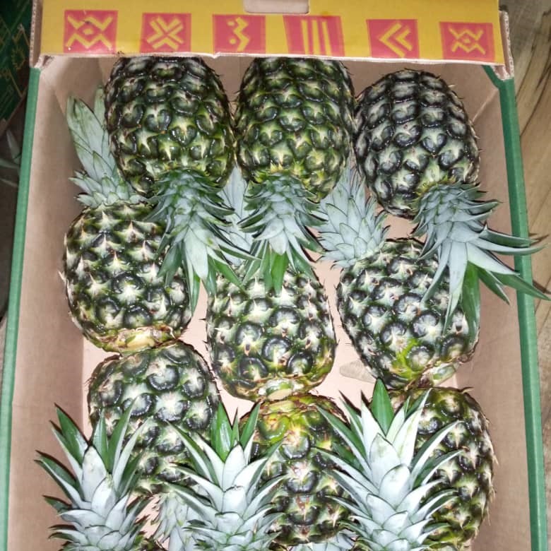Pineapple picture
